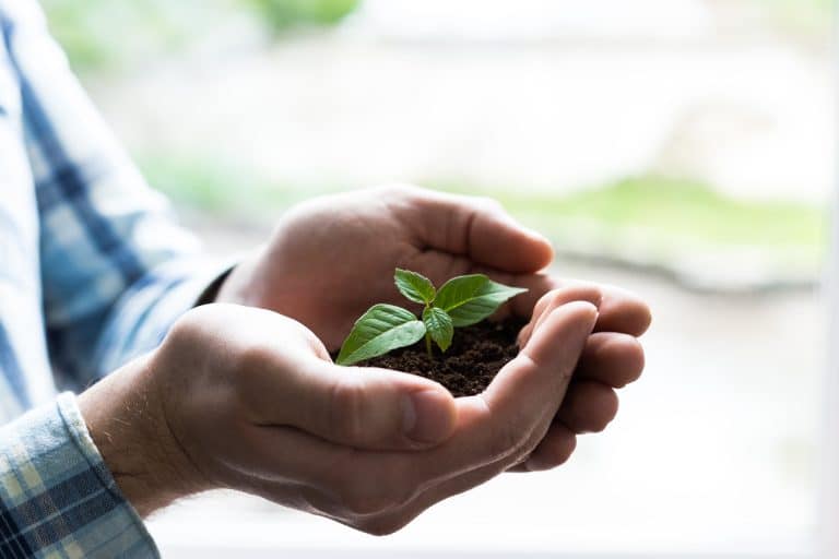 Royal Eco Products – Rebuilding for Growth